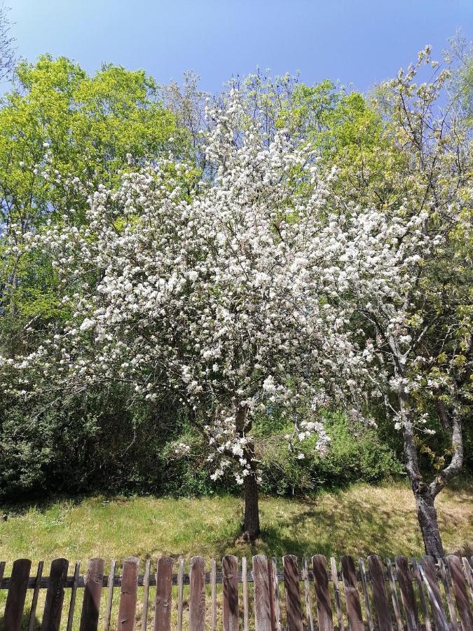 Appartamento Riedbach *